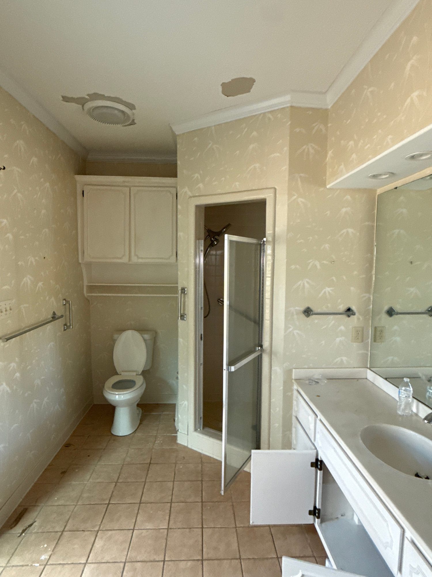 The Primary Bath before
